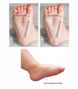 pé bebê arcos