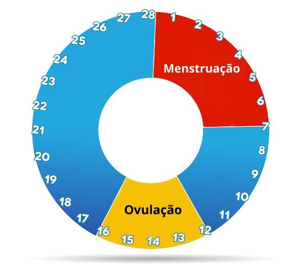 Calendário menstrual (tabelinha): entenda seu período fértil!
